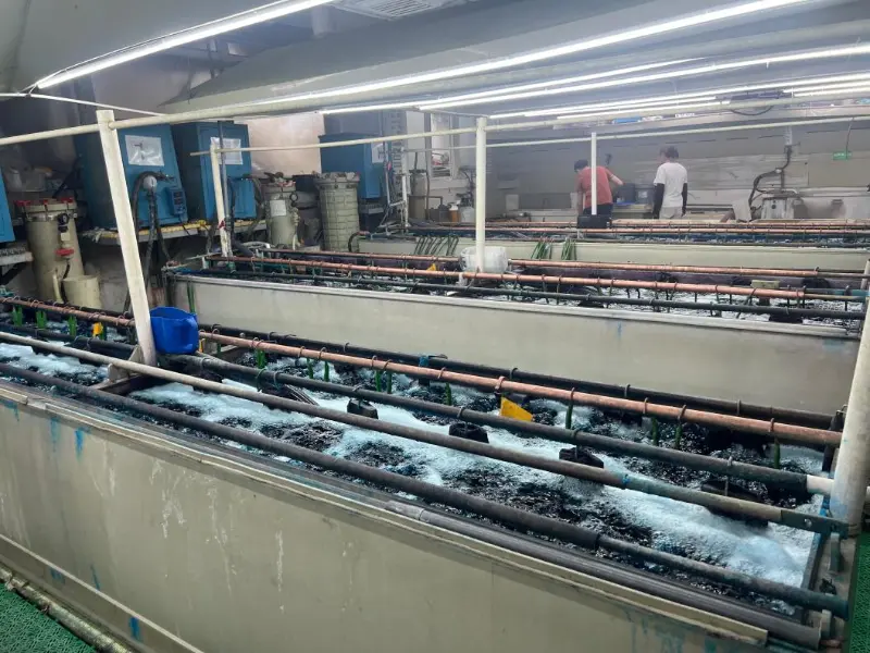 Professional Plating Factories